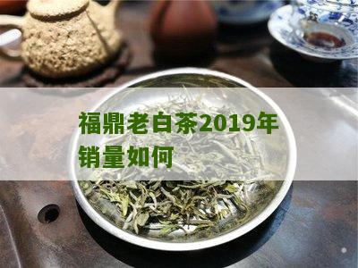 福鼎老白茶2019年销量如何