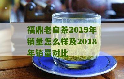 福鼎老白茶2019年销量怎么样及2018年销量对比