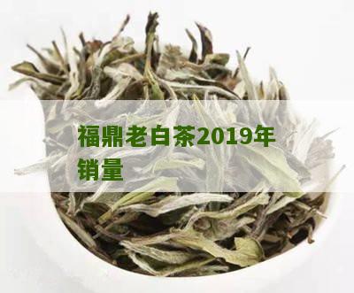 福鼎老白茶2019年销量