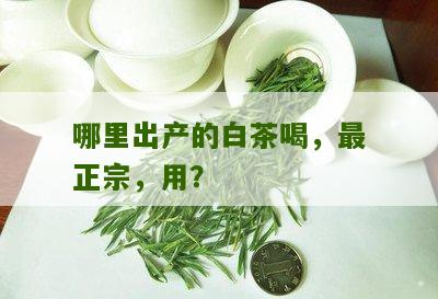 哪里出产的白茶喝，最正宗，用？