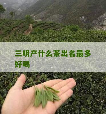 三明产什么茶出名最多好喝