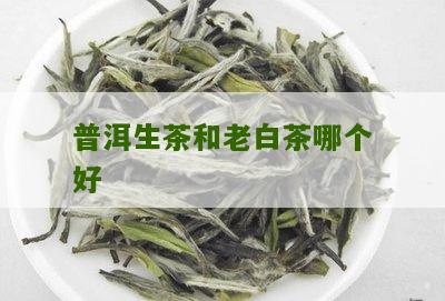 普洱生茶和老白茶哪个好