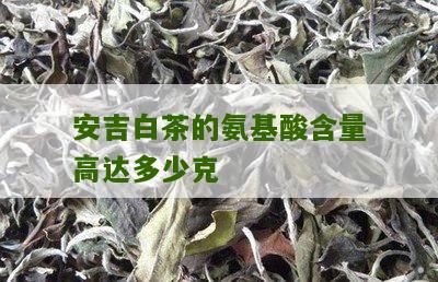 安吉白茶的氨基酸含量高达多少克