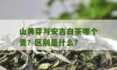 山黄芽与安吉白茶哪个贵？区别是什么？