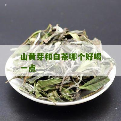 山黄芽和白茶哪个好喝一点