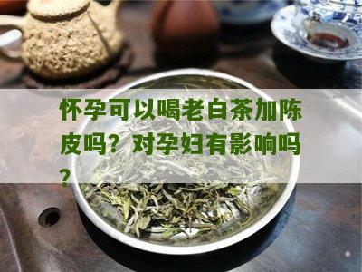 怀孕可以喝老白茶加陈皮吗？对孕妇有影响吗？