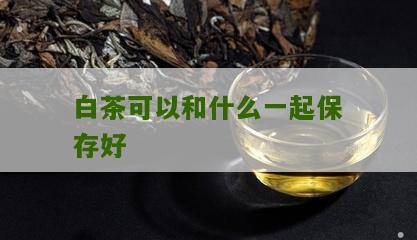 白茶可以和什么一起保存好