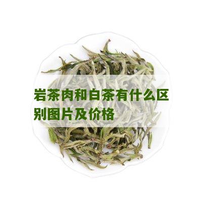 岩茶肉和白茶有什么区别图片及价格