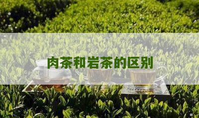 肉茶和岩茶的区别