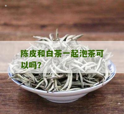 陈皮和白茶一起泡茶可以吗？