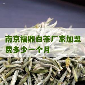 南京福鼎白茶厂家加盟费多少一个月