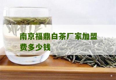 南京福鼎白茶厂家加盟费多少钱