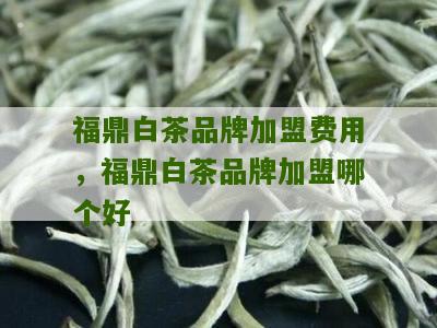 福鼎白茶品牌加盟费用，福鼎白茶品牌加盟哪个好