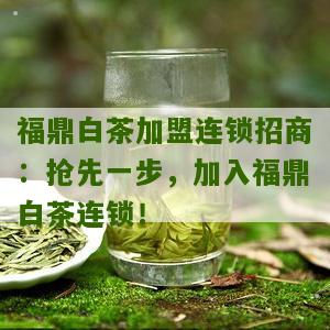 福鼎白茶加盟连锁招商：抢先一步，加入福鼎白茶连锁！