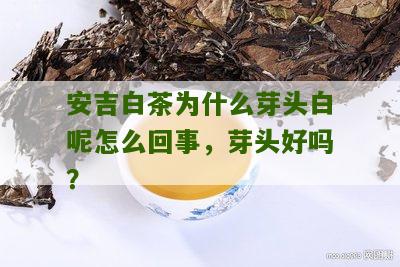 安吉白茶为什么芽头白呢怎么回事，芽头好吗？