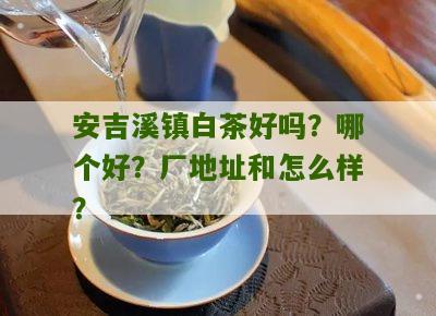 安吉溪镇白茶好吗？哪个好？厂地址和怎么样？