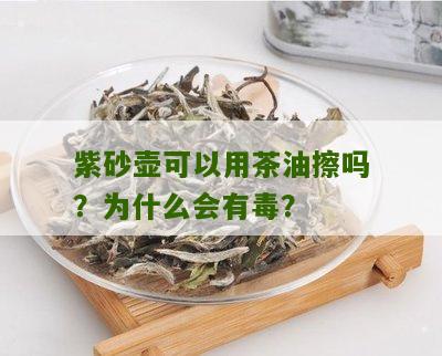 紫砂壶可以用茶油擦吗？为什么会有毒？