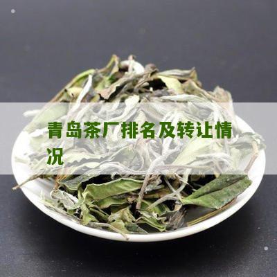 青岛茶厂排名及转让情况