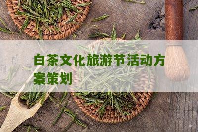 白茶文化旅游节活动方案策划