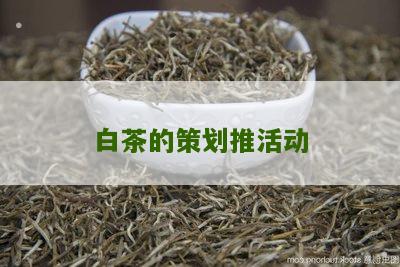 白茶的策划推活动