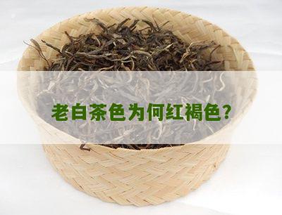 老白茶色为何红褐色？