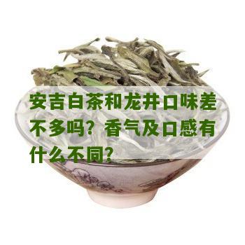 安吉白茶和龙井口味差不多吗？香气及口感有什么不同？