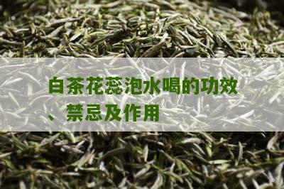 白茶花蕊泡水喝的功效、禁忌及作用