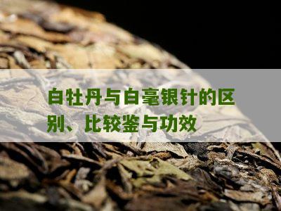 白牡丹与白毫银针的区别、比较鉴与功效