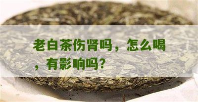 老白茶伤肾吗，怎么喝，有影响吗？