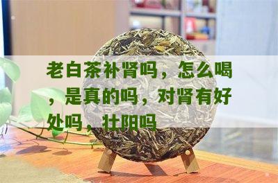 老白茶补肾吗，怎么喝，是真的吗，对肾有好处吗，壮阳吗