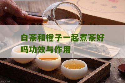 白茶和橙子一起煮茶好吗功效与作用