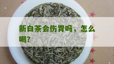 新白茶会伤胃吗，怎么喝？