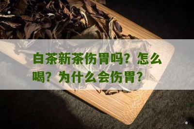 白茶新茶伤胃吗？怎么喝？为什么会伤胃？