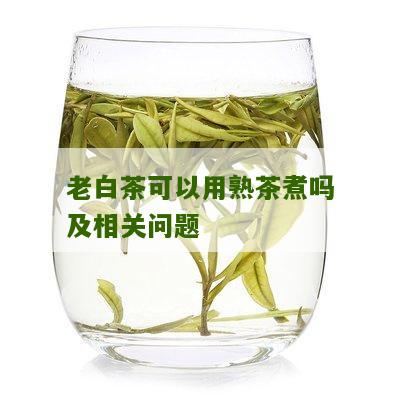 老白茶可以用熟茶煮吗及相关问题