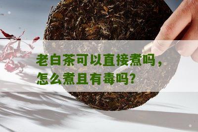 老白茶可以直接煮吗，怎么煮且有毒吗？