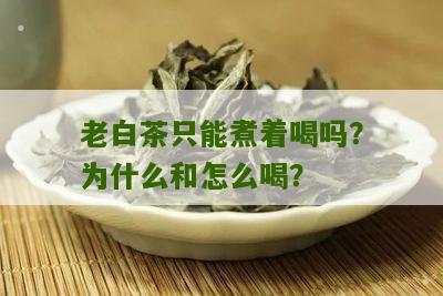 老白茶只能煮着喝吗？为什么和怎么喝？