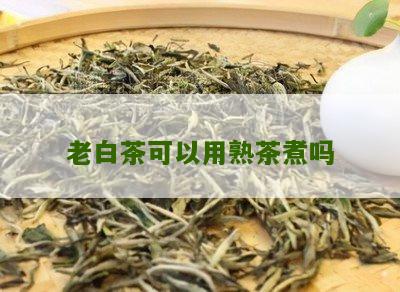 老白茶可以用熟茶煮吗