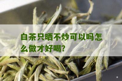 白茶只晒不炒可以吗怎么做才好喝？