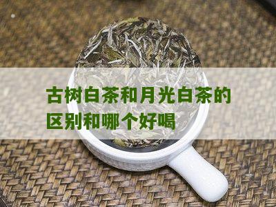 古树白茶和月光白茶的区别和哪个好喝