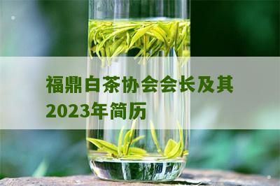 福鼎白茶协会会长及其2023年简历