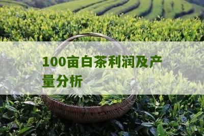 100亩白茶利润及产量分析