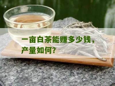 一亩白茶能赚多少钱，产量如何？