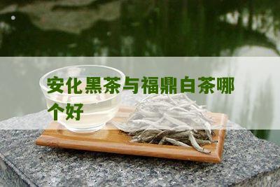 安化黑茶与福鼎白茶哪个好