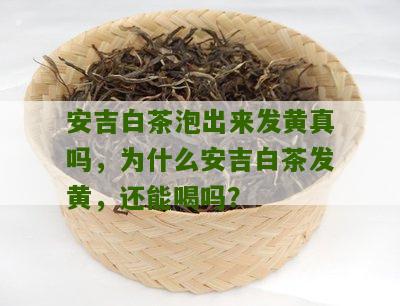 安吉白茶泡出来发黄真吗，为什么安吉白茶发黄，还能喝吗？