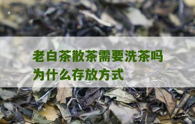 老白茶散茶需要洗茶吗为什么存放方式