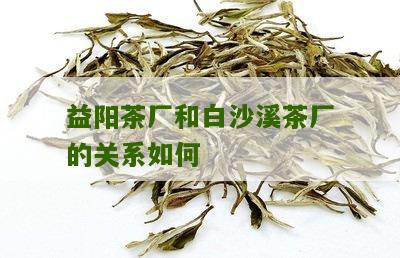 益阳茶厂和白沙溪茶厂的关系如何