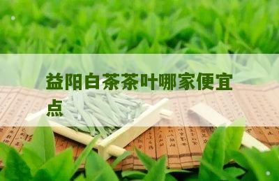 益阳白茶茶叶哪家便宜点