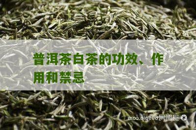 普洱茶白茶的功效、作用和禁忌