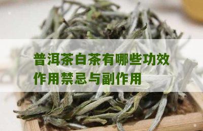 普洱茶白茶有哪些功效作用禁忌与副作用