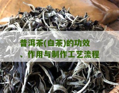 普洱茶(白茶)的功效、作用与制作工艺流程